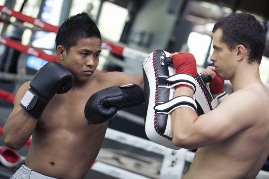 boxer training