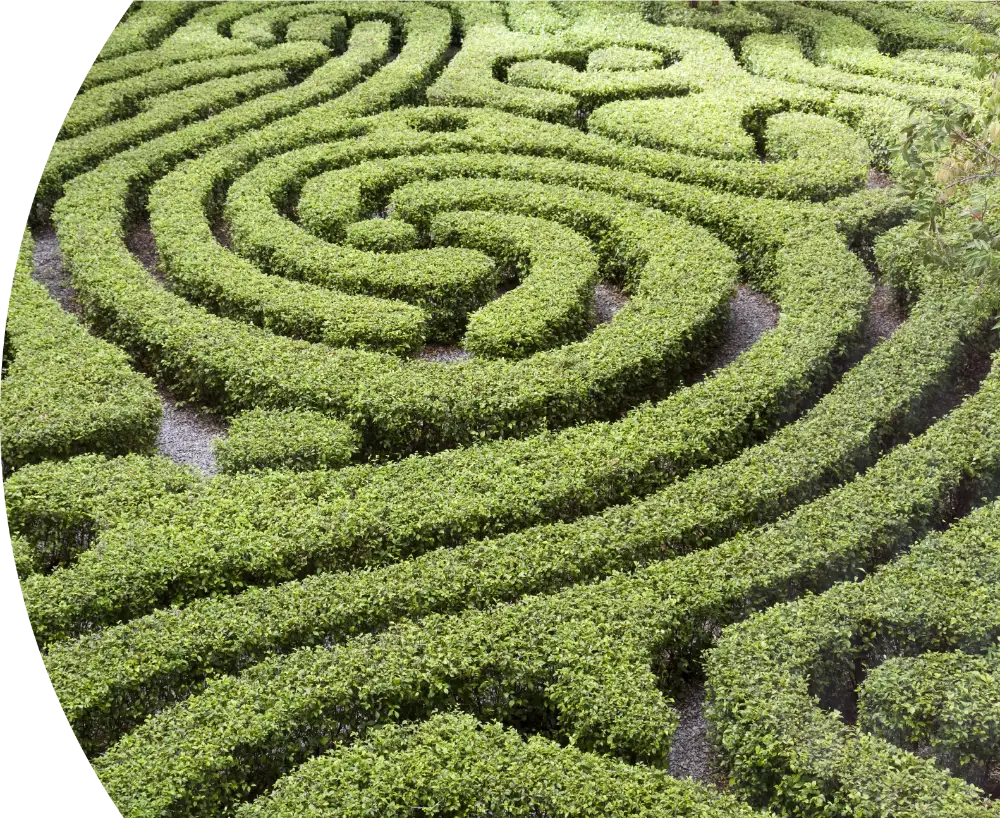 PCA NWA mental health services - Aerial view of a neatly trimmed hedge maze with winding green paths and gravel walkways